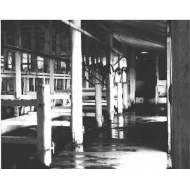 Inside stanchion cow bails - machine milking [Hawkesbury Agricultural College (HAC)]