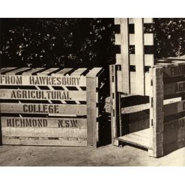 Pig crates (empty) [Hawkesbury Agricultural College (HAC)]