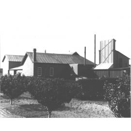 Preserving Shed (exterior) - fruit trees in foreground [Hawkesbury Agricultural College (HAC)]