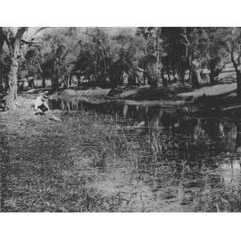 Rickaby's Creek - Collecting samples? [Hawkesbury Agricultural College (HAC)]