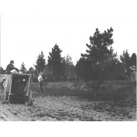 Spraying in the Orchard [Hawkesbury Agricultural College (HAC)]