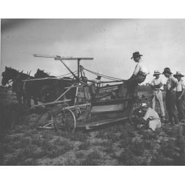 Student under instruction on a reaping machine pulled by a three-horse team, in the field [Hawkesbury Agricultural College (HAC)]