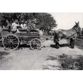 Students sitting in a wagon drawn by two-mule team [Hawkesbury Agricultural College (HAC)]
