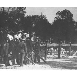 Students under instruction outside ostrich pen [Hawkesbury Agricultural College (HAC)]