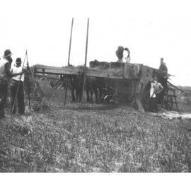 Students working a grain thresher - loading [Hawkesbury Agricultural College (HAC)]