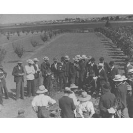 Winter School for Farmers, 1900s - student farmers observing a demonstration in the Orchard - township of Richmond in background [Hawkesbury Agricultural College (HAC)]