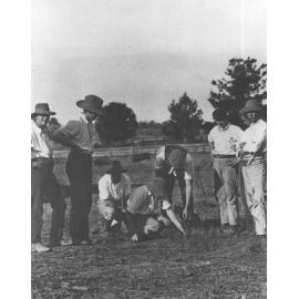 Students in a paddock - a student is patting a cat, another kneeling [Hawkesbury Agricultural College (HAC)]