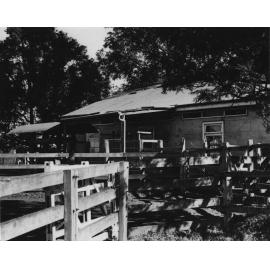 Stud stock shed and demonstration room [Hawkesbury Agricultural College (HAC)]