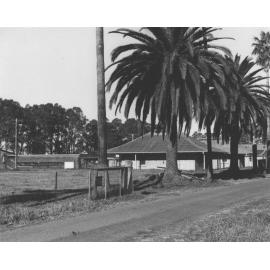 Poultry area [Hawkesbury Agricultural College (HAC)]