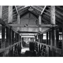 Farrowing Shed (interior) - Print 7 of 9 [Hawkesbury Agricultural College (HAC)]