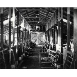 Farrowing Shed (interior) - Print 6 of 9 [Hawkesbury Agricultural College (HAC)]