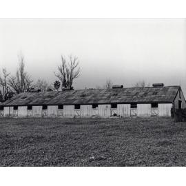 Farrowing Shed (exterior) - Print 5 of 9 [Hawkesbury Agricultural College (HAC)]