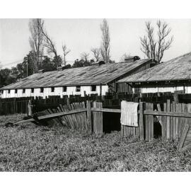 Farrowing Shed and Boar House (exterior) - Print 4 of 9 [Hawkesbury Agricultural College (HAC)]