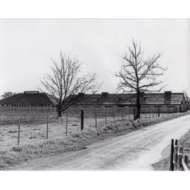 Farrowing Shed and Boar House (exterior) - Print 2 of 9 [Hawkesbury Agricultural College (HAC)]