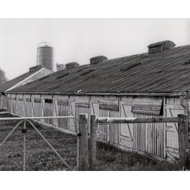 Farrowing Shed (exterior) - Print 3 of 9 [Hawkesbury Agricultural College (HAC)]