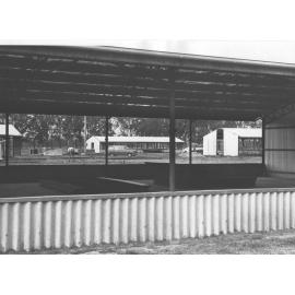 A view through newly constructed poultry sheds at a man working on the site [Hawkesbury Agricultural College (HAC)]