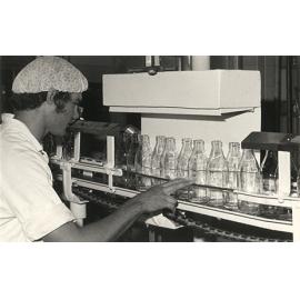Dairy Factory (interior): student checking clean milk bottles (Print 2 of 2) [Hawkesbury Agricultural College (HAC)]