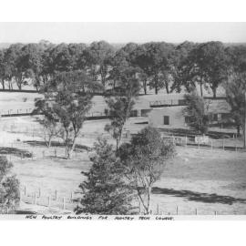 New poultry buildings for Poultry Technology Course [Hawkesbury Agricultural College (HAC)]