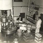 Dairy Factory (interior): students packing full milk bottles into crates (Print 8 of 9) [Hawkesbury Agricultural College (HAC)]