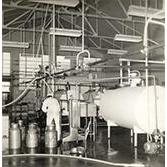 Dairy Factory (interior): showing students at work and milk tanks and milk cans (Print 2 of 9) [Hawkesbury Agricultural College (HAC)]