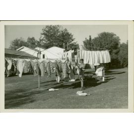 Laundry Boy at the clothesline
