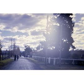 Hawkesbury Agricultural College Dairy Factory - Photo 167