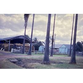 Hay Shed and Farm Building [Hawkesbury Agricultural College] - Photo 174