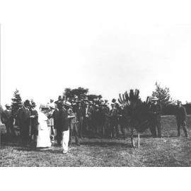 Winter School for Farmers, c.1909 - student farmers observing a pine tree (?) [Hawkesbury Agricultural College (HAC)]