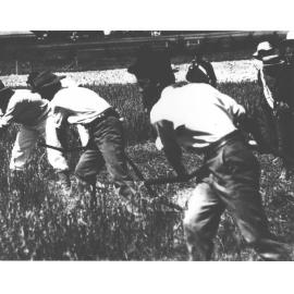 Mowing class - mowing with scythes (Youth Camp Schools boys looking on) [Hawkesbury Agricultural College (HAC)]