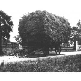 Wagon loaded with hay [Hawkesbury Agricultural College (HAC)]