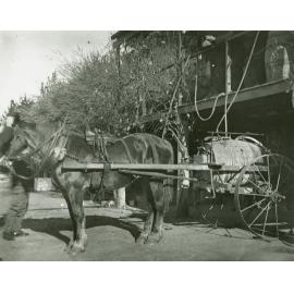 Dray with orchard spraying equipment - fill up outside Experimental Plots Shed (built 1896) [Hawkesbury Agricultural College (HAC)]
