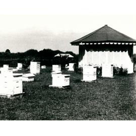 Early scene of Apiary & kiosk [Hawkesbury Agricultural College (HAC)]