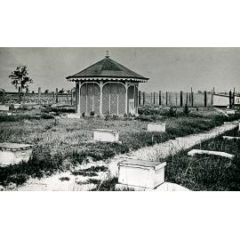 Early view of Apiary and kiosk (tea room) - opposite poultry cottage [Hawkesbury Agricultural College (HAC)]