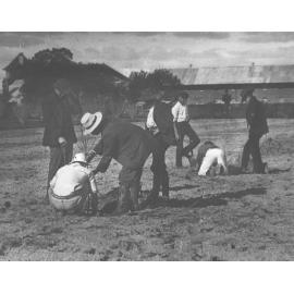 Establishing a new orchard (stone fruit) West of Valder Hall [Hawkesbury Agricultural College (HAC)]