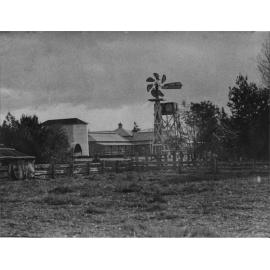 Feeding stalls and silos - Northern aspect [Hawkesbury Agricultural College (HAC)]