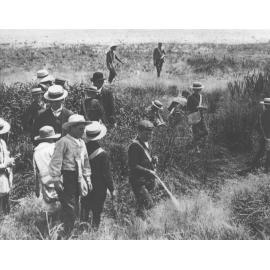 Youth Camp School, 1909 - Group of young boys in a field with an instructor [Hawkesbury Agricultural College (HAC)]