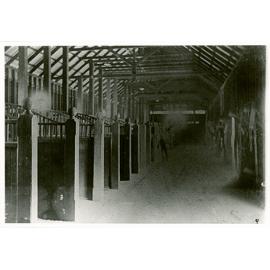 Interior scene in stables showing horse stalls (Print 2 of 2 - Cropped on left) [Hawkesbury Agricultural College (HAC)]