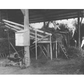 Students making hay, the chaff cutter driven by an electric motor [Hawkesbury Agricultural College (HAC)]