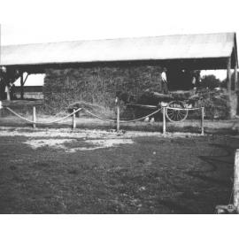 Students stacking hay into hay shed - a student is loading from a hay cart pulled by a horse [Hawkesbury Agricultural College (HAC)]