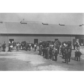 Stable Square - Visitors looking at horses brought out from their stables by students [Hawkesbury Agricultural College (HAC)]