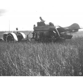 A student driving an early tractor pulling a grain harvester in a field (three students are sitting on the harvester) [Hawkesbury Agricultural College (HAC)]