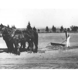 A student instructed in the use of the buckscraper in levelling land - with a three horse team [Hawkesbury Agricultural College (HAC)]