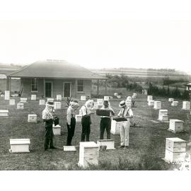 Apiary building, beehives, G Smith (far right) & students [Hawkesbury Agricultural College (HAC)]