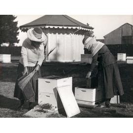 Apiary School - Women taking honeycomb frames from beehives [Hawkesbury Agricultural College (HAC)]