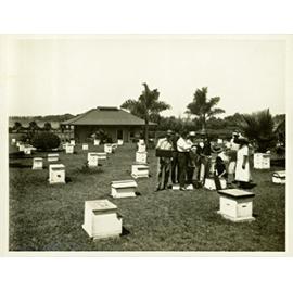Apiary students examining honeycomb frames [Hawkesbury Agricultural College (HAC)] - Print 1 of 2 - Uncropped