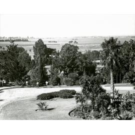 View from the College Tower showing historic Windsor in the distance [Hawkesbury Agricultural College (HAC)]