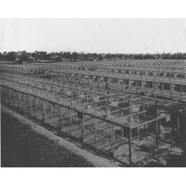 Poultry - Egg laying competition pens [Hawkesbury Agricultural College (HAC)]