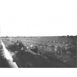 Egg laying competition pens - owners of laying hens [Hawkesbury Agricultural College (HAC)]