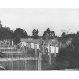 Poultry - Egg laying competition pens [Hawkesbury Agricultural College (HAC)]