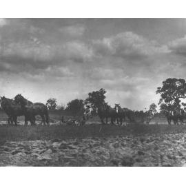 Ploughing - Female students [Hawkesbury Agricultural College (HAC)]